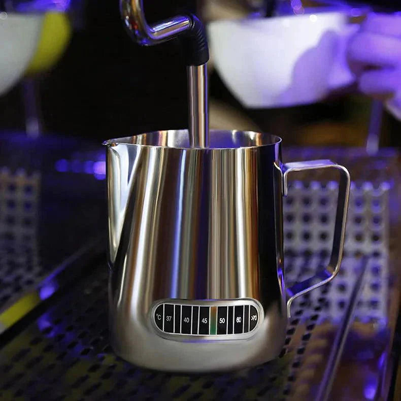 Stainless Steel Jug with Temperature Indicator